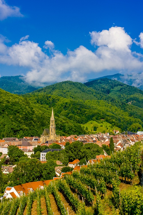 Weinberg und die Stadt Thann, Elsass in Frankreich