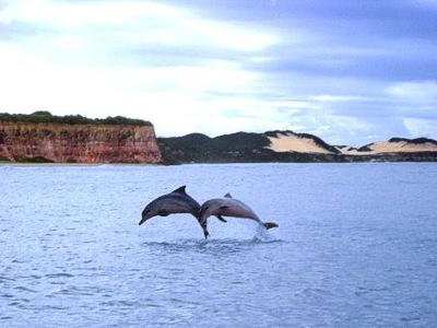 Baia dos Golfinhos in Brasilien