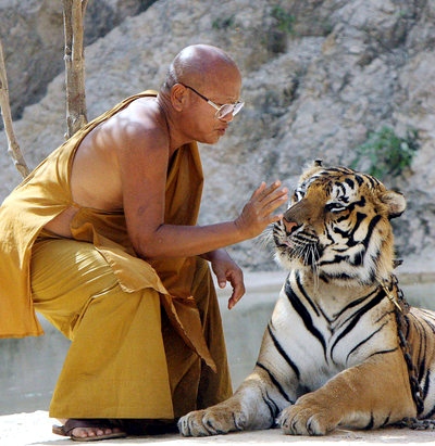 Tigerkloster in Thailand